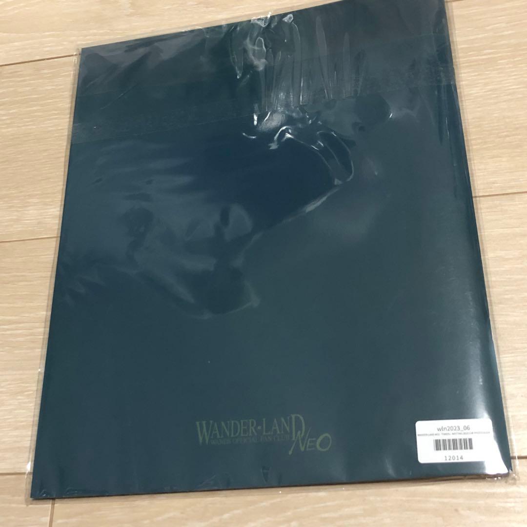 WANDS LIVE PHOTO BOOK 2023 ライブフォトブック