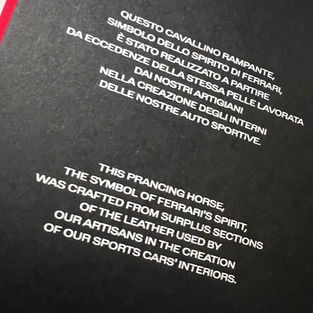フェラーリ　レザー　デコレーション