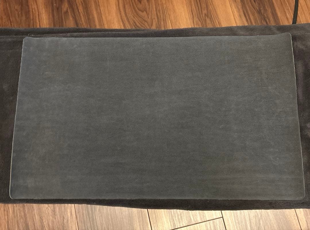 ポケモン WCS 2023 横浜　サイドイベント　100枚限定　プレイマット