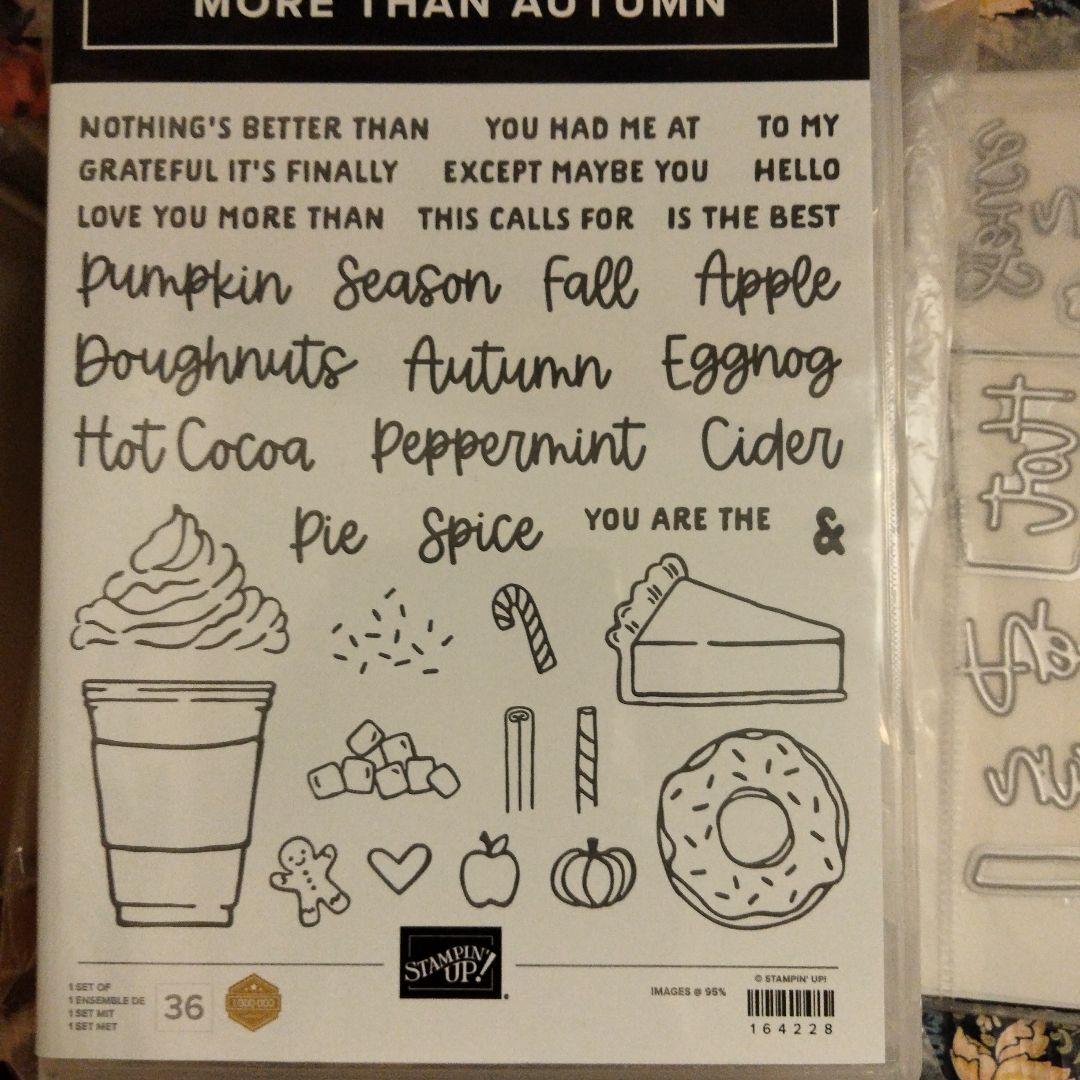 １点限り♡新作　秋スタンプ&ダイ　スタンピンアップ