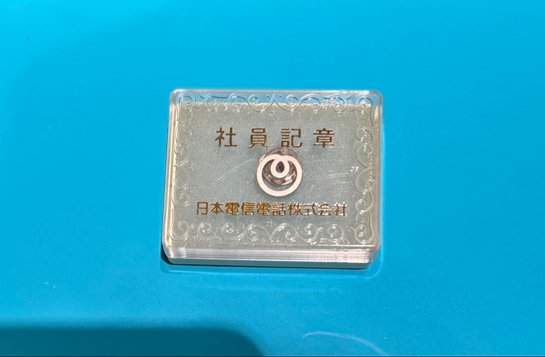 【希少】日本電信電話株式会社 NTT 社員記章 バッジ ケース付