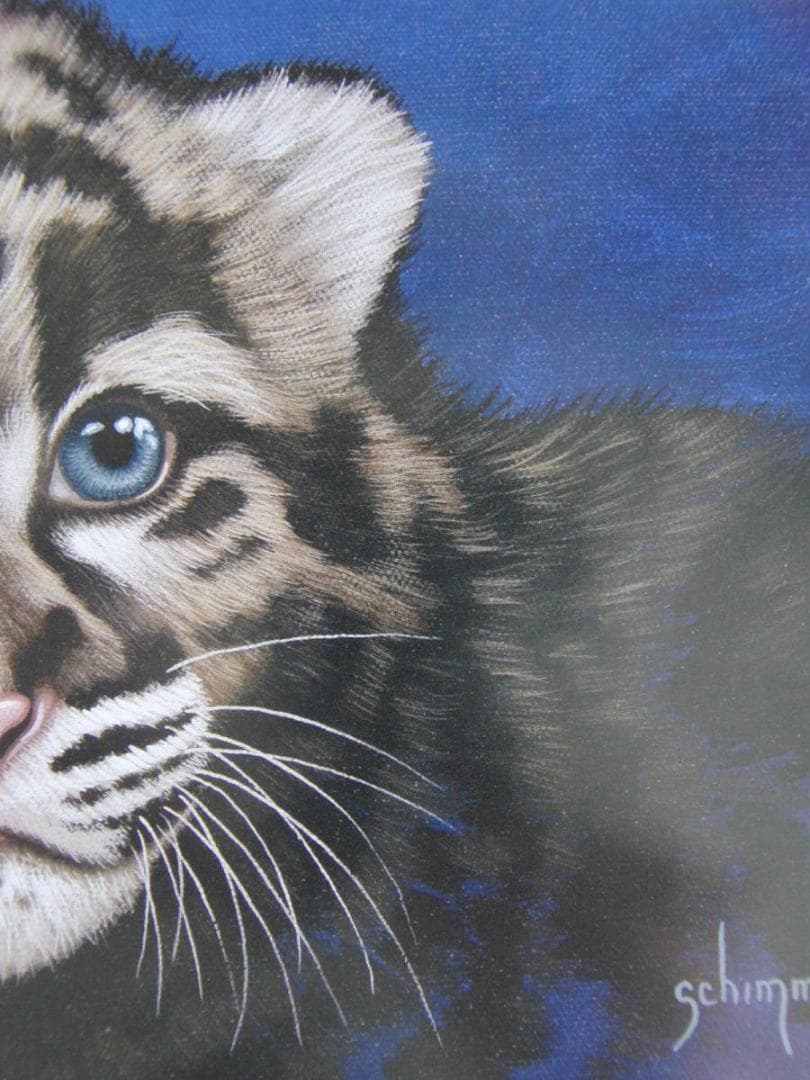 シム・シメール、【THE LITTLE CLOUDED LEOPARD】