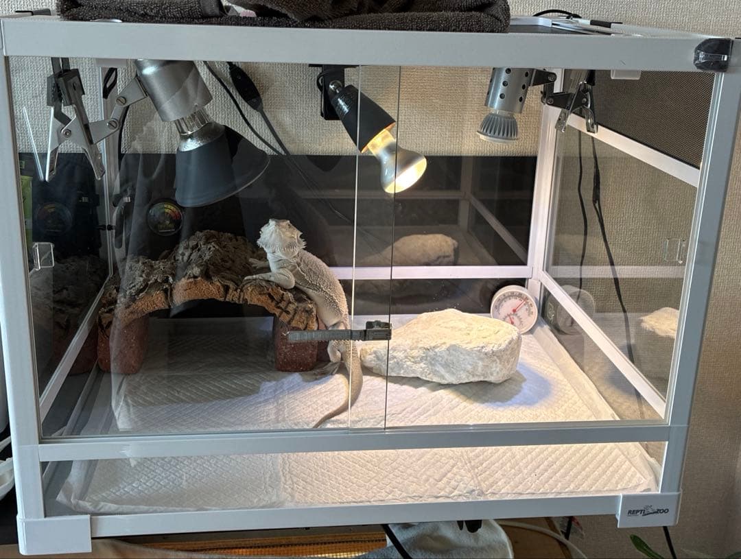 パンテオンホワイト WH6045 飼育ケージ シェルター付き