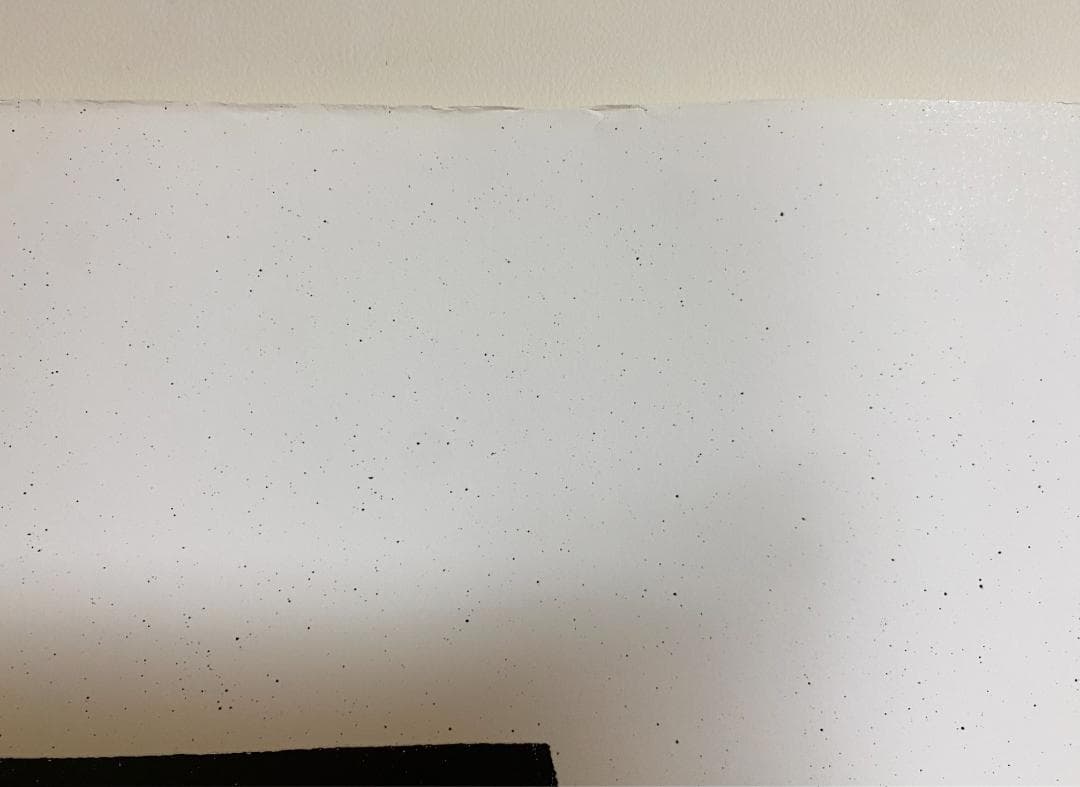 超希少！仲條正義 2002年作『仲條のフジのヤマイ』シリーズ【富士ノ山】