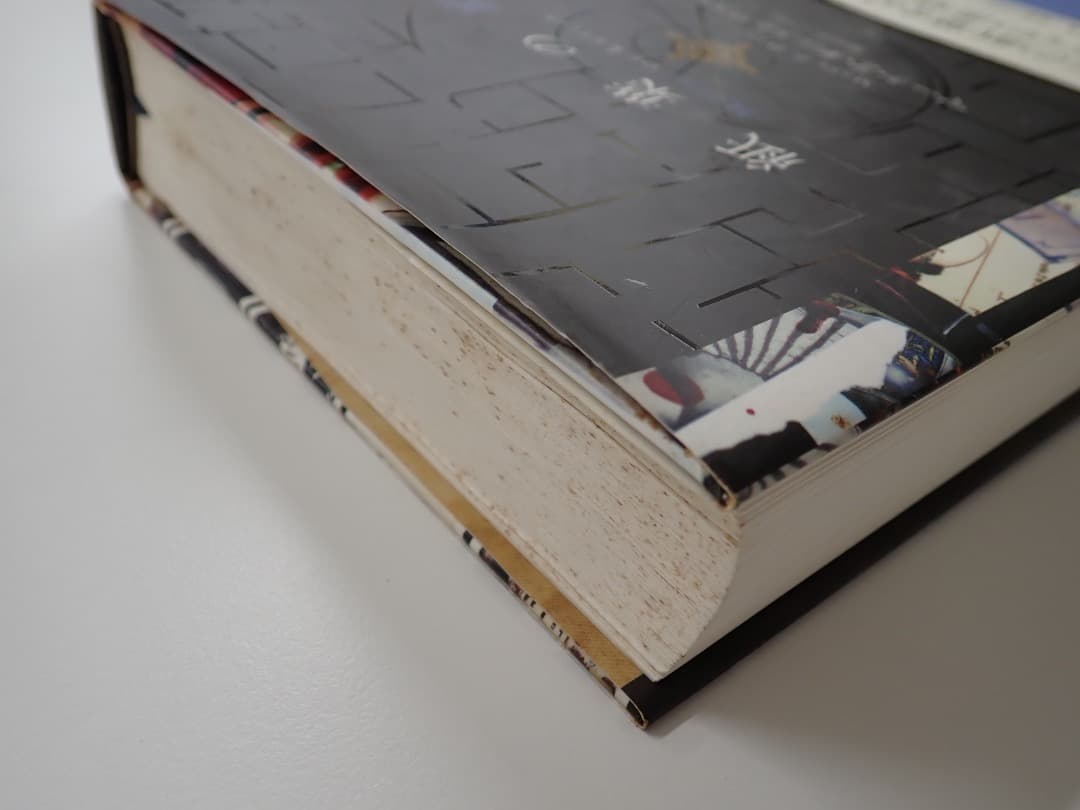 マーク・Z・ダニエレフスキー著　紙葉の家