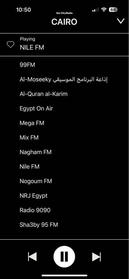 palomar the CityRadio ワイヤレススピーカー