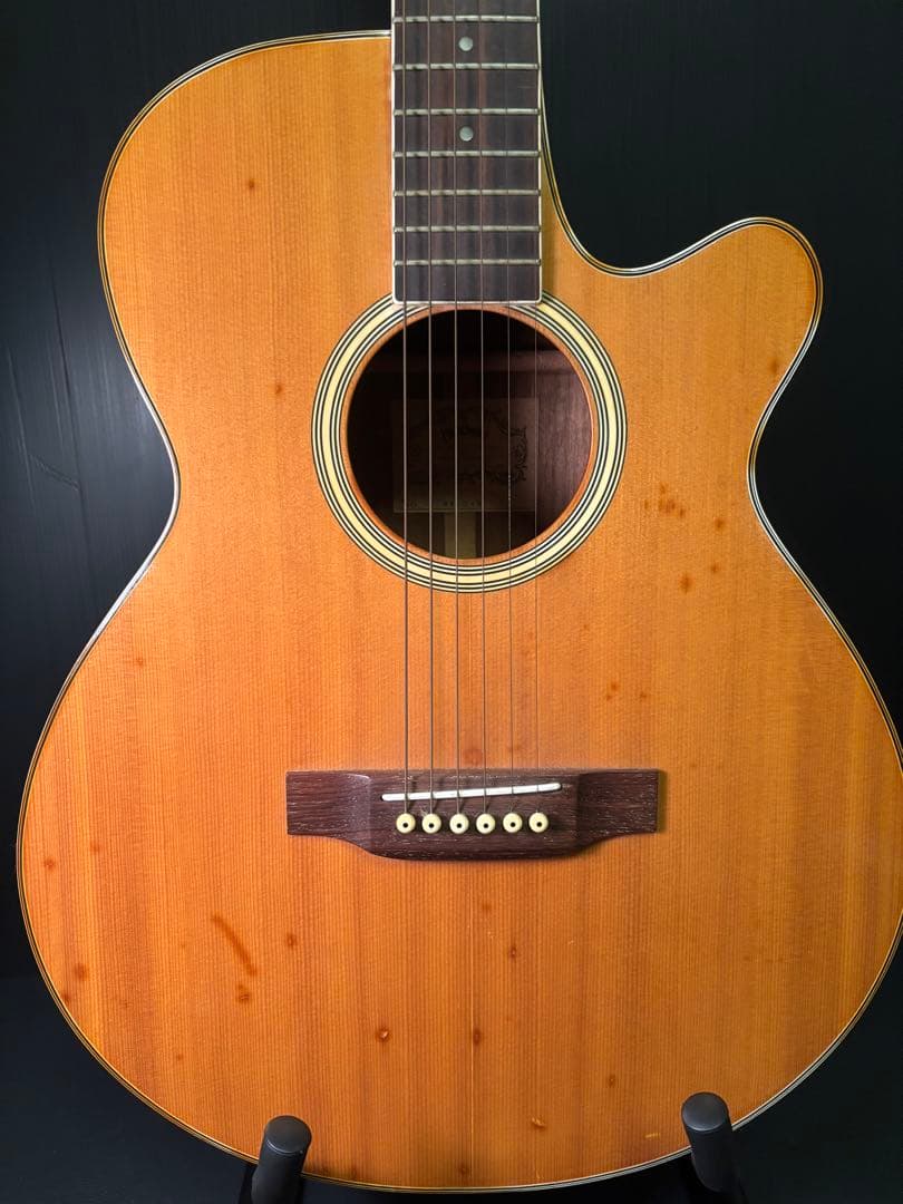 Headway エレアコ　ハードケース付き