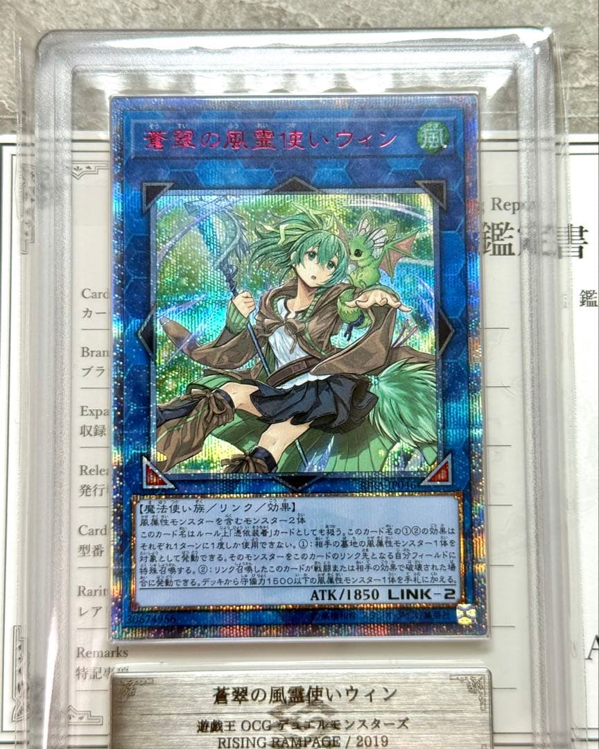 ARS10 世界に17枚 蒼翠の風霊使いウィン 20th 美品