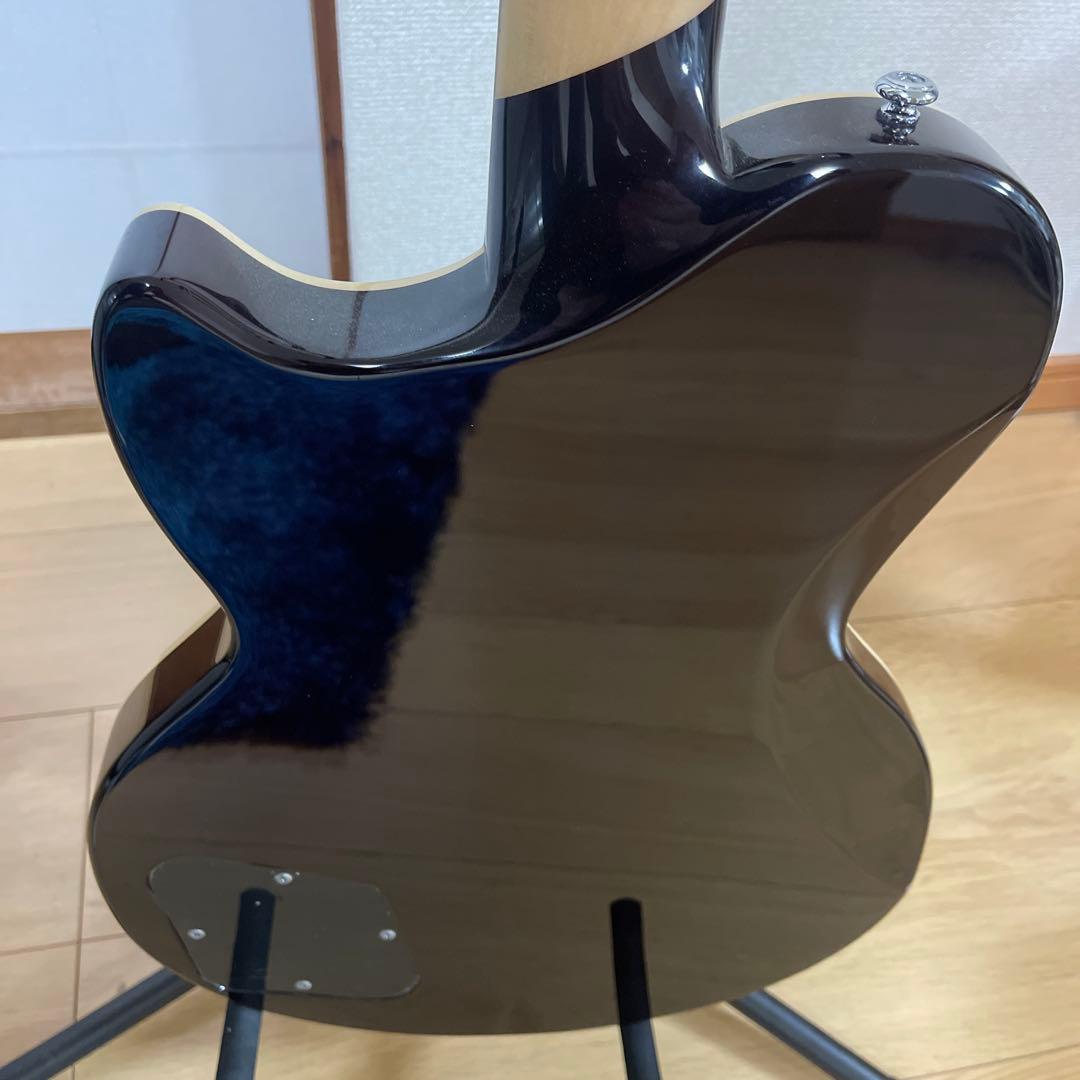 【ノビルさん専用】Ｄ'angelico premier