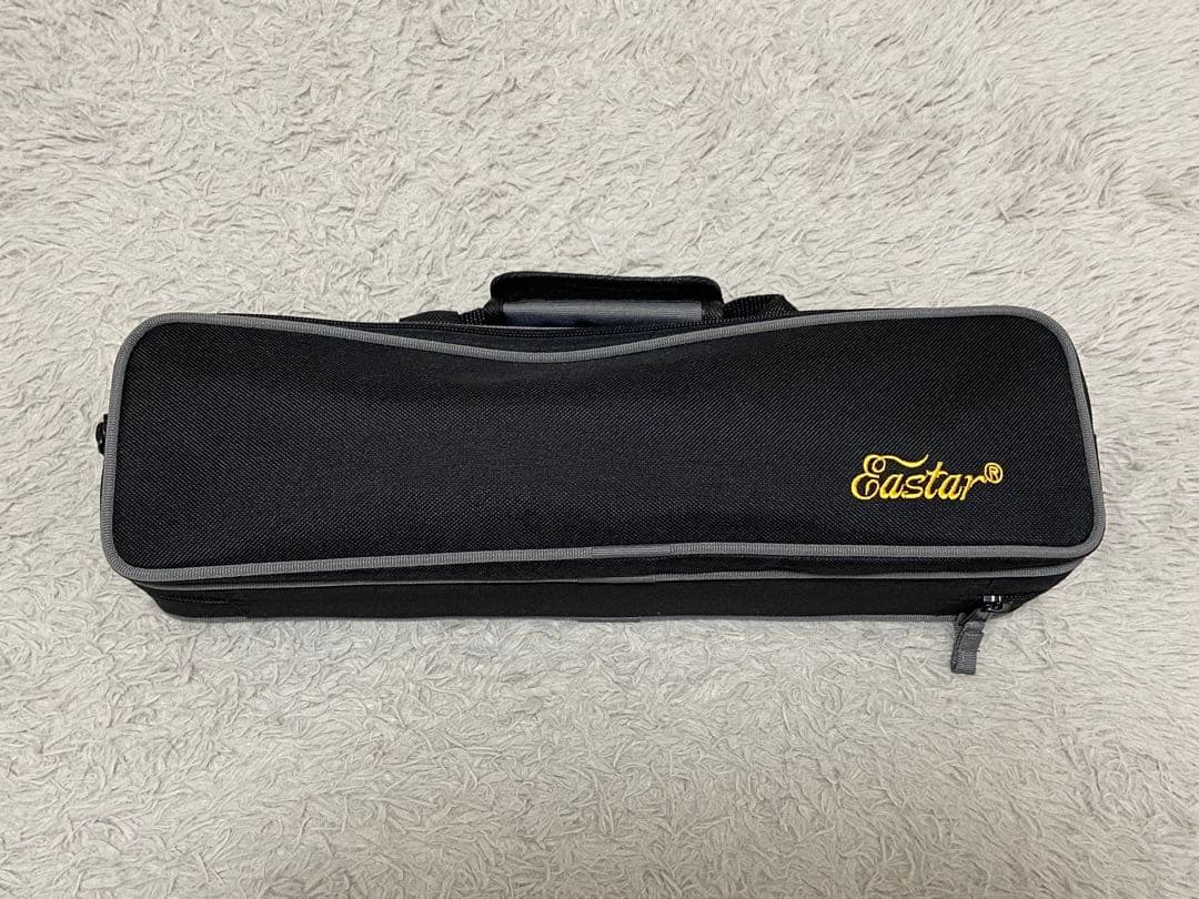 【初心者セット】Eastar フルート 専用ケース&お手入れセット付