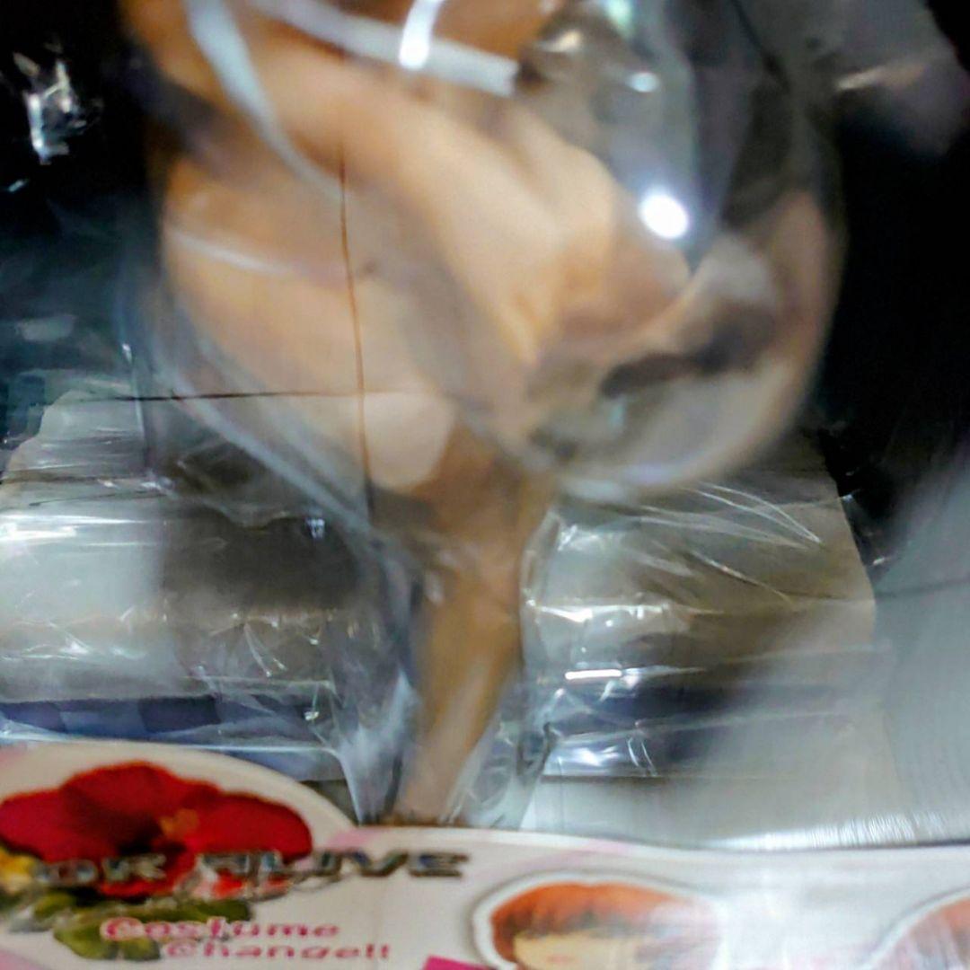 未開封 DEAD OR ALIVE かすみ SP フィギュア コトブキヤ 水着