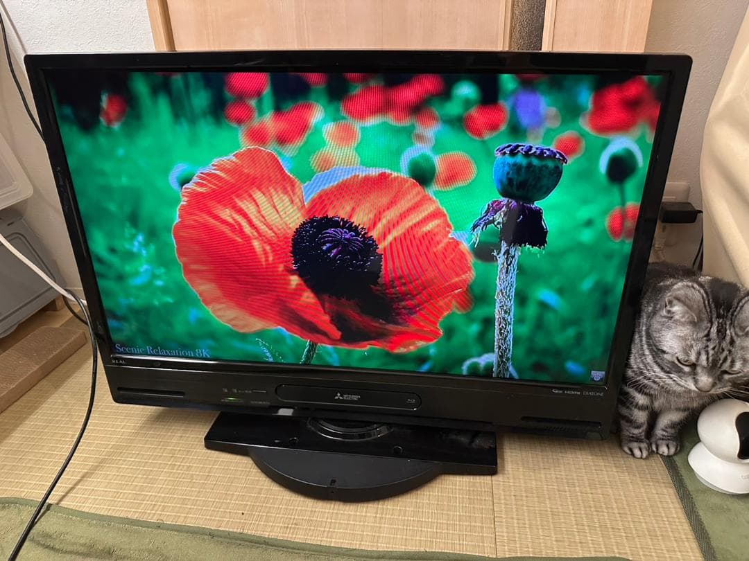 くろっわさんさん専用三菱 18年32型 テレビ LCD-A32BHR10