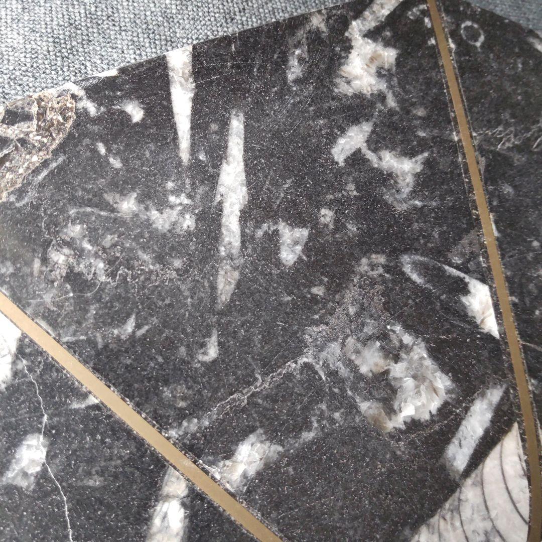 レア！アンモナイト化石 他生物の大理石八角形オブジェプレート！