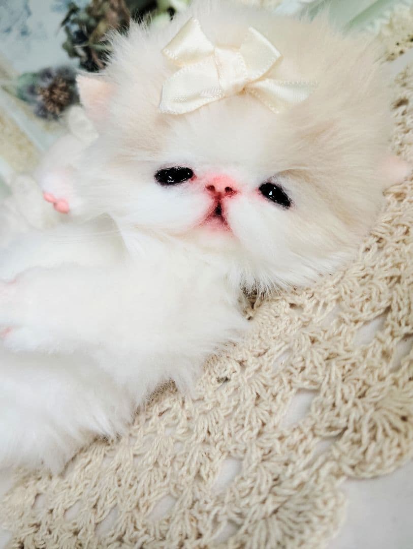 子猫ベビー♡お腹ぽっこりちゃん♡アートドール♡ぬいぐるみ♡