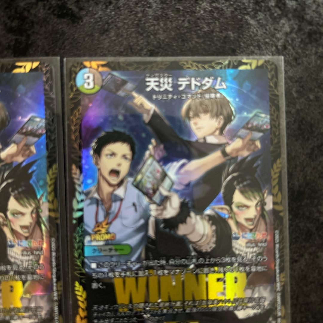 天災 デドダム2枚セット