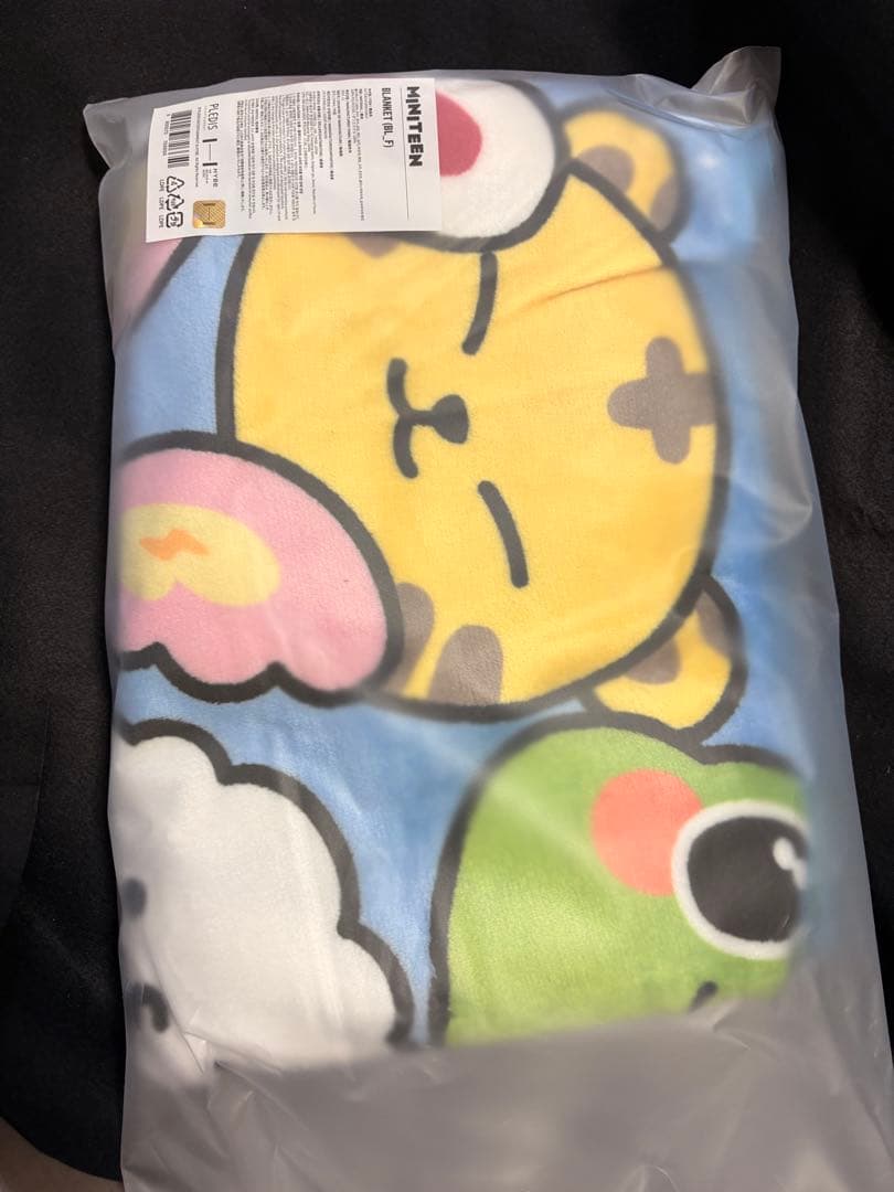 SEVENTEEN MINITEEN ブランケット