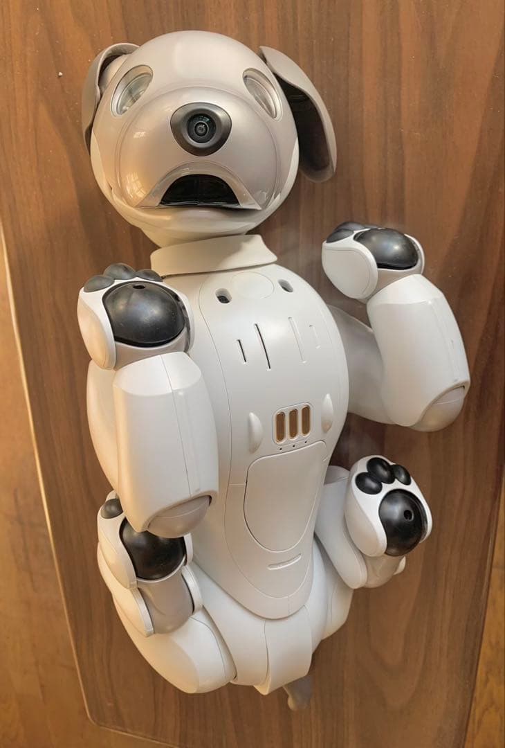 aibo アイボ　ERS-1000 本体　ソニー　アイボのおもちゃ