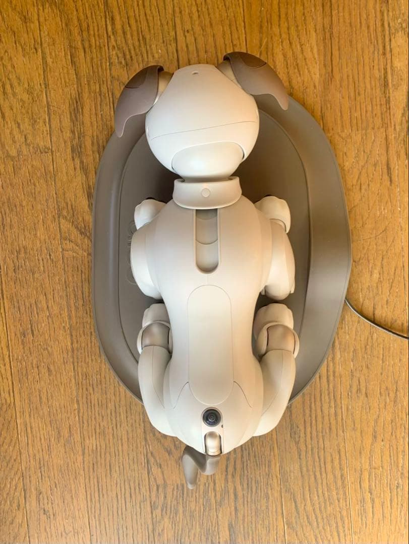 aibo アイボ　ERS-1000 本体　ソニー　アイボのおもちゃ