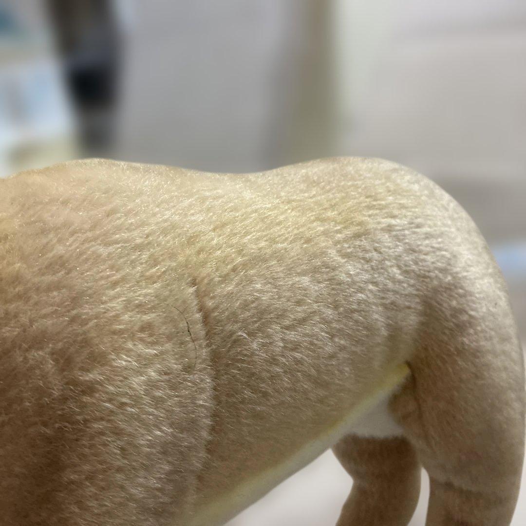 リアルトナカイぬいぐるみ 中型