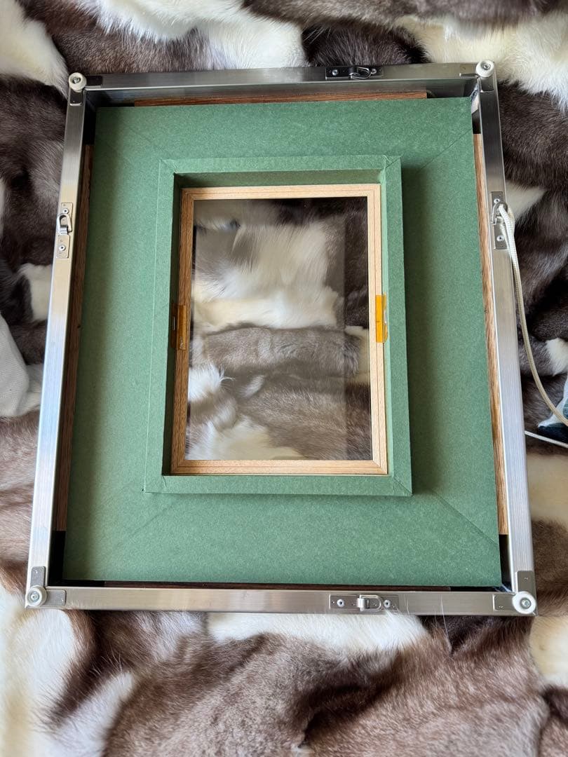 真作　浜田泰介　「初日」SM　油彩　平成7年　額装・共シール・タトウ箱・黄袋付き