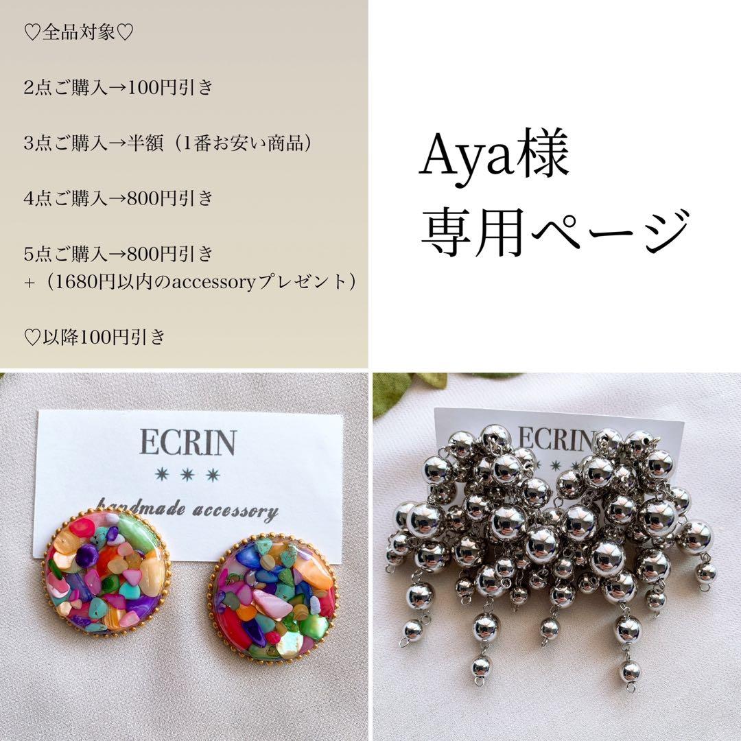Aya様♡専用ページ〔ネジバネイヤリング〕