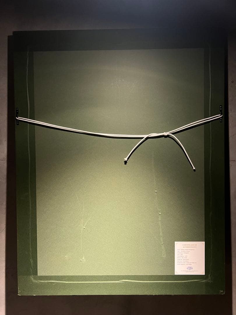 William-Adolphe Bouguereau 【ヴィーナスの誕生】限定百