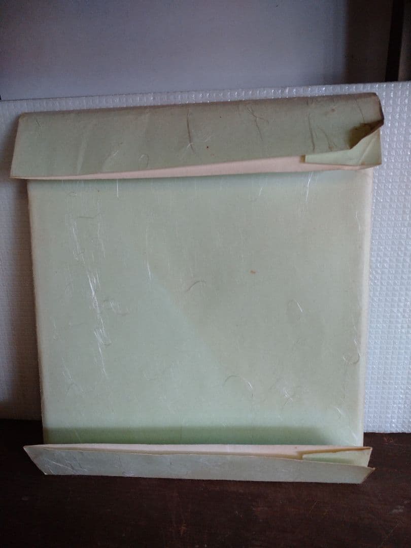 色紙 タイザンボク 鈴木伊津美 画歴あり