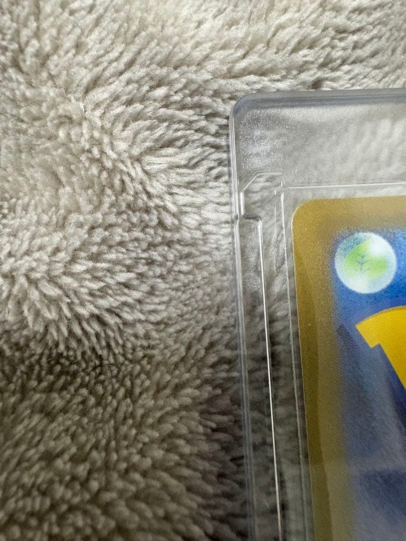 Wまとめ買い！！ブラッキーex SAR テラスタルフェス