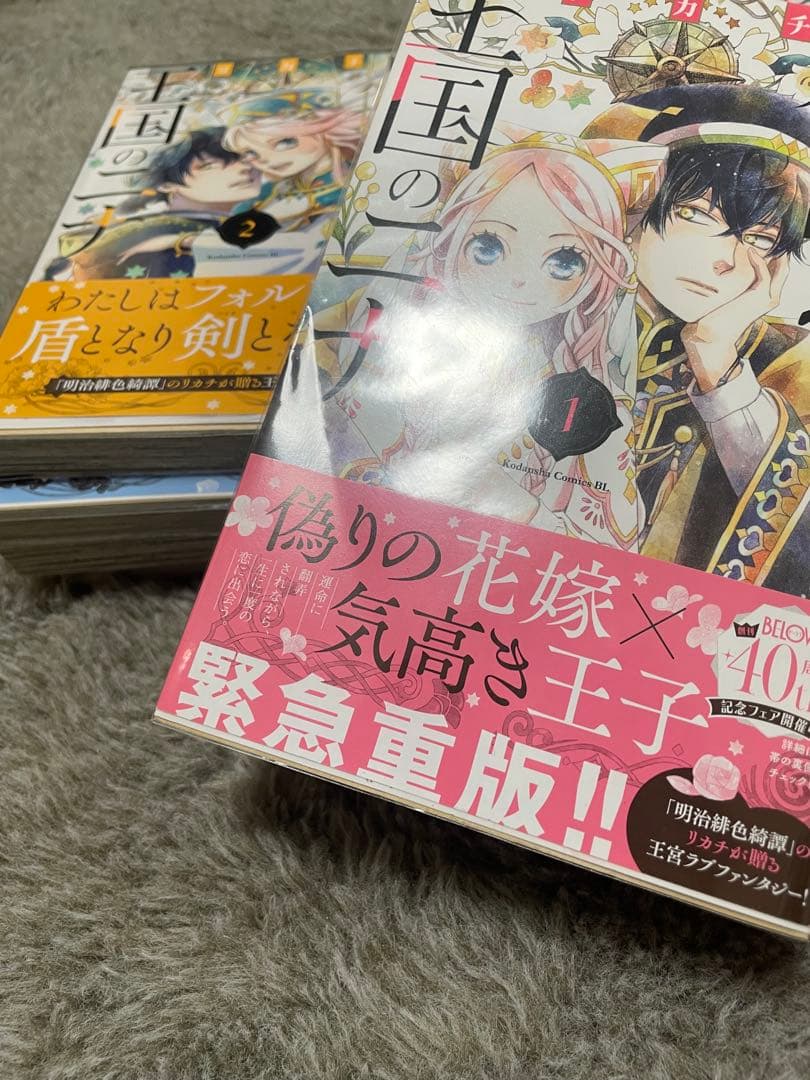 星降る王国のニナ全巻17巻セット　特装版あり