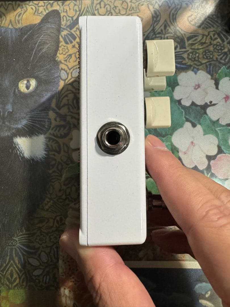 ギター Brush eight Drive X