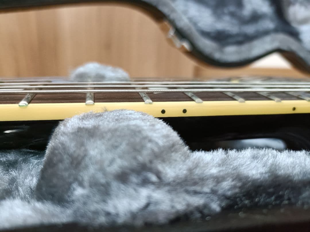 Epiphone カジノクーペ