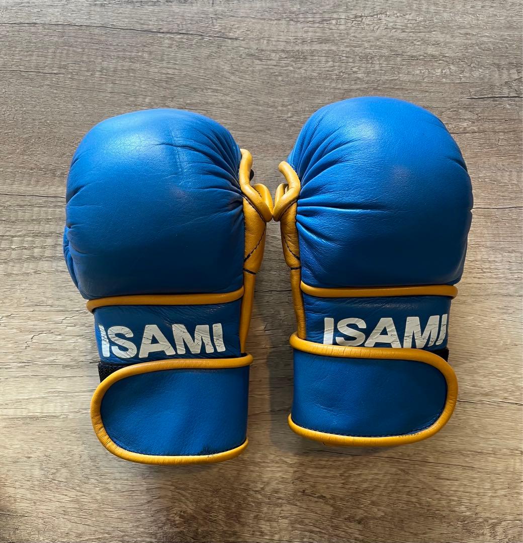 ISAMI パウンドグローブ 青/黄 サイズF