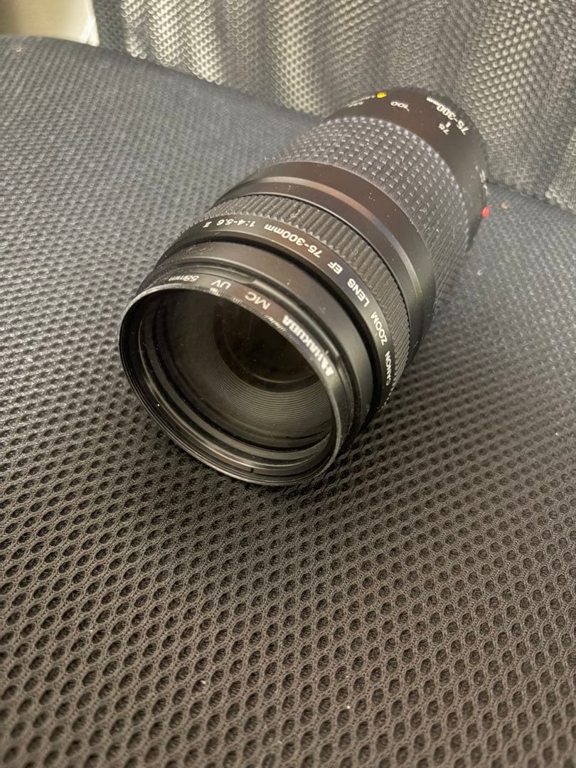 Canon EOS Kiss x4 ダブルズーム 一眼レフ 作例有