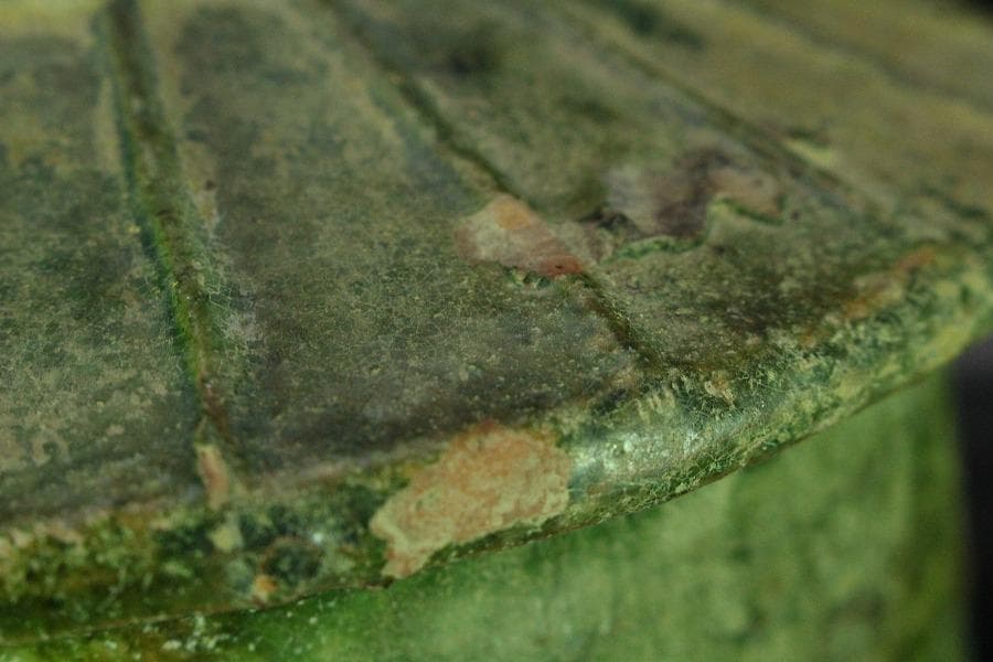 中国美術 緑釉 菌 後漢 時代物(K-A357)