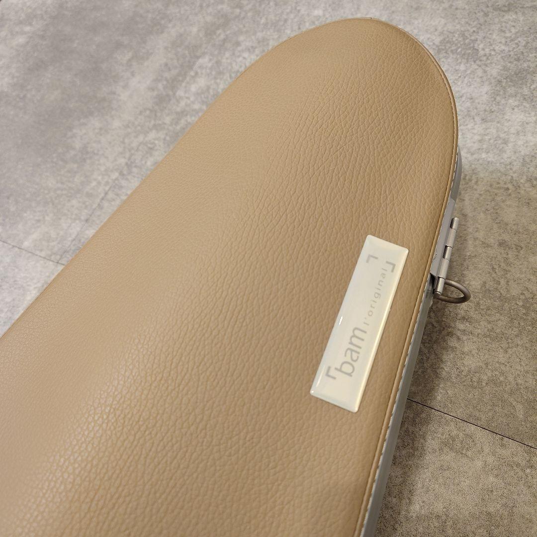 ビオラ本体と付属物一式とbamのケースのセット