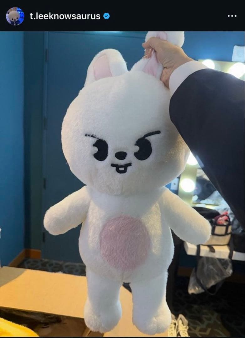 StrayKids スキズ SKZOO テディベア リービット リノ