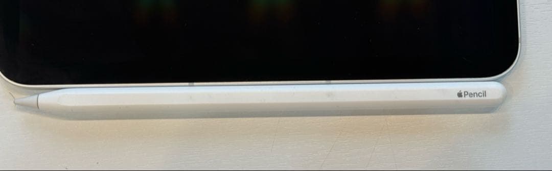 iPad Pro 11 (第4世代) 256GB Wi-Fi+Cellular