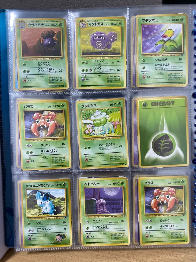 ポケモンカードコレクション