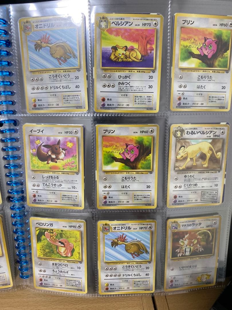 ポケモンカードコレクション
