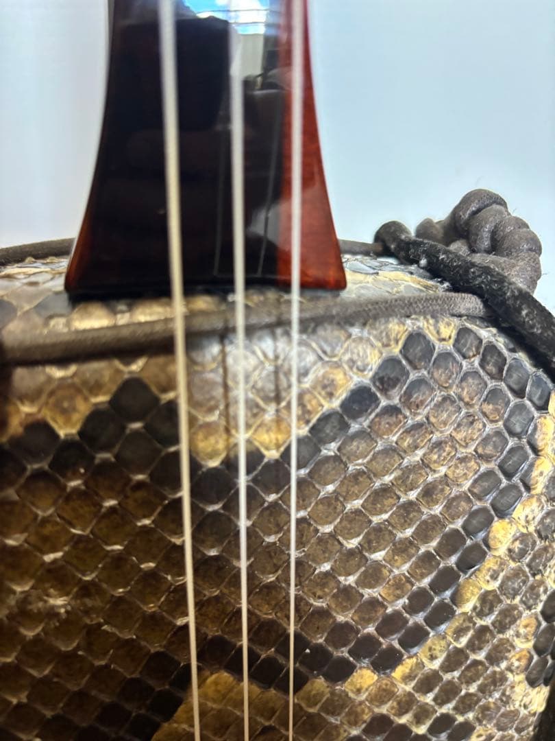 沖縄三線　真嘉比型　重さ測りました。