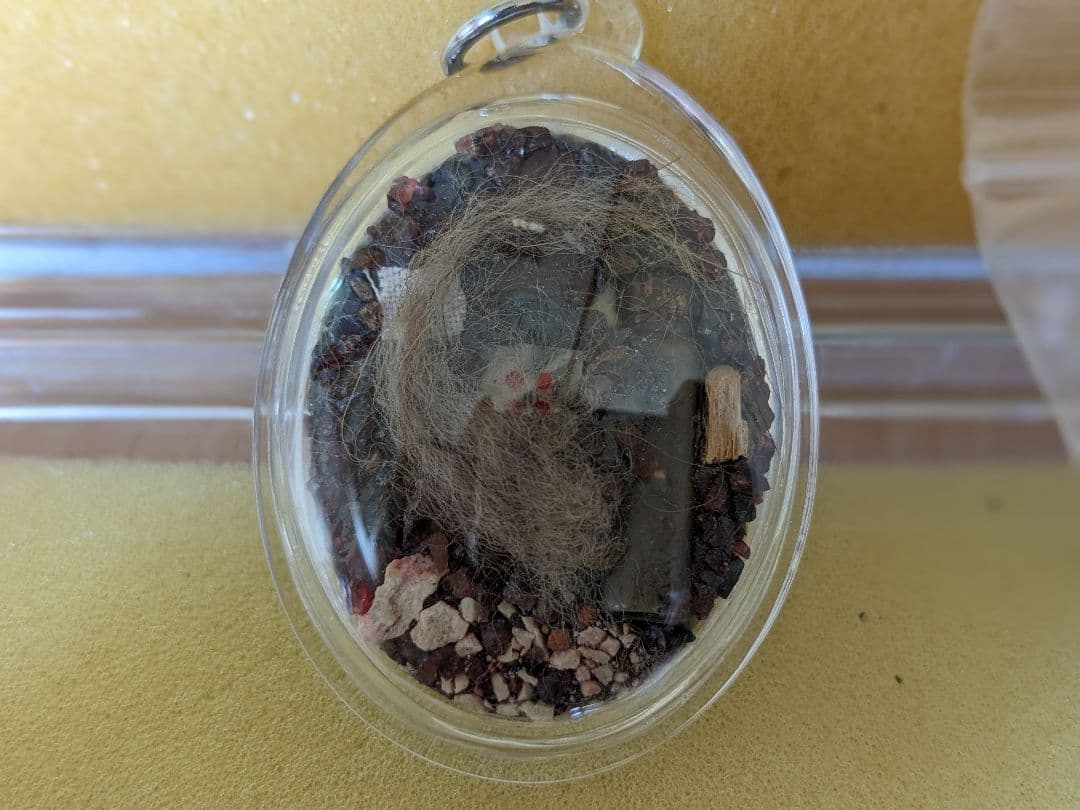 激レア！タイのお守りプラクルアン！九尾の狐！専門店にて購入！アンティークにも！