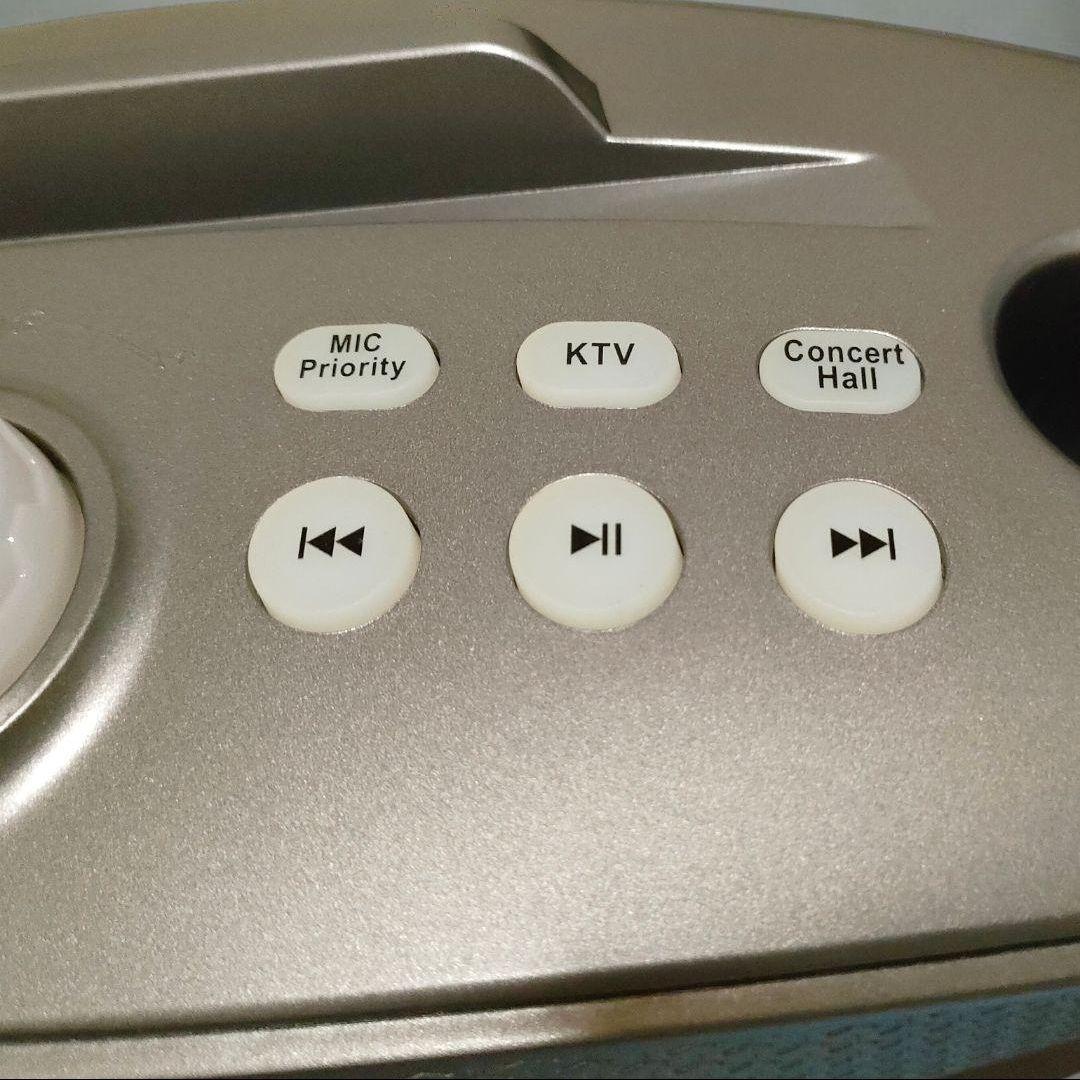 新品未使用 カラオケ 家庭用 スピーカー 第2世代 マイク 2本 USB 充電