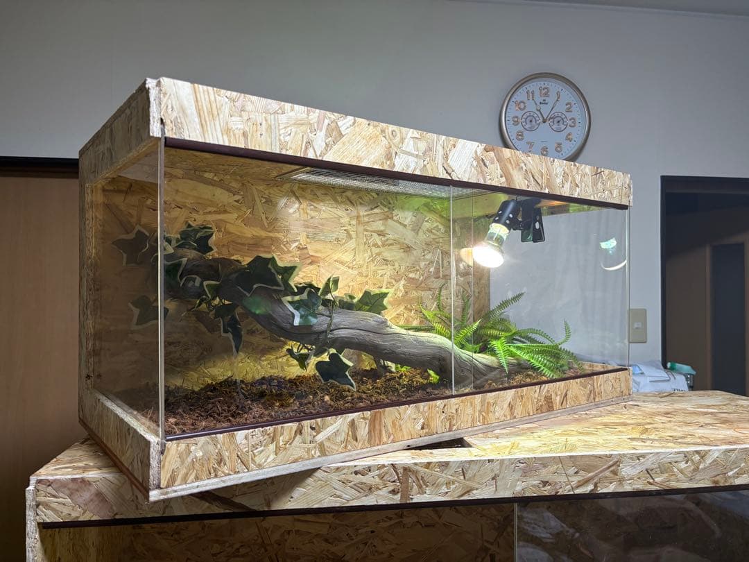 爬虫類ケージ 90×45×45 サイドアクリル仕様　ケージ 爬虫類　ペット