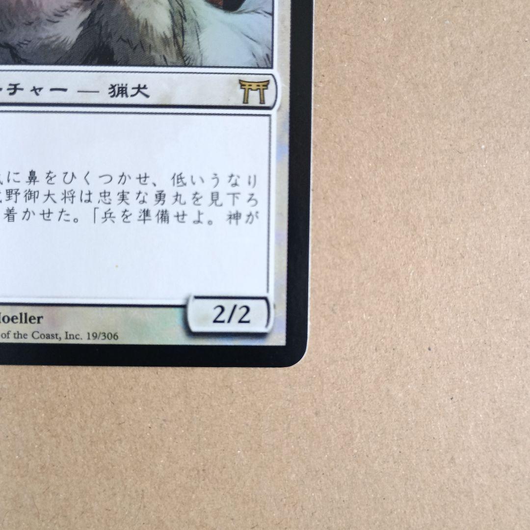 今田家の猟犬、勇丸 日本語版foil