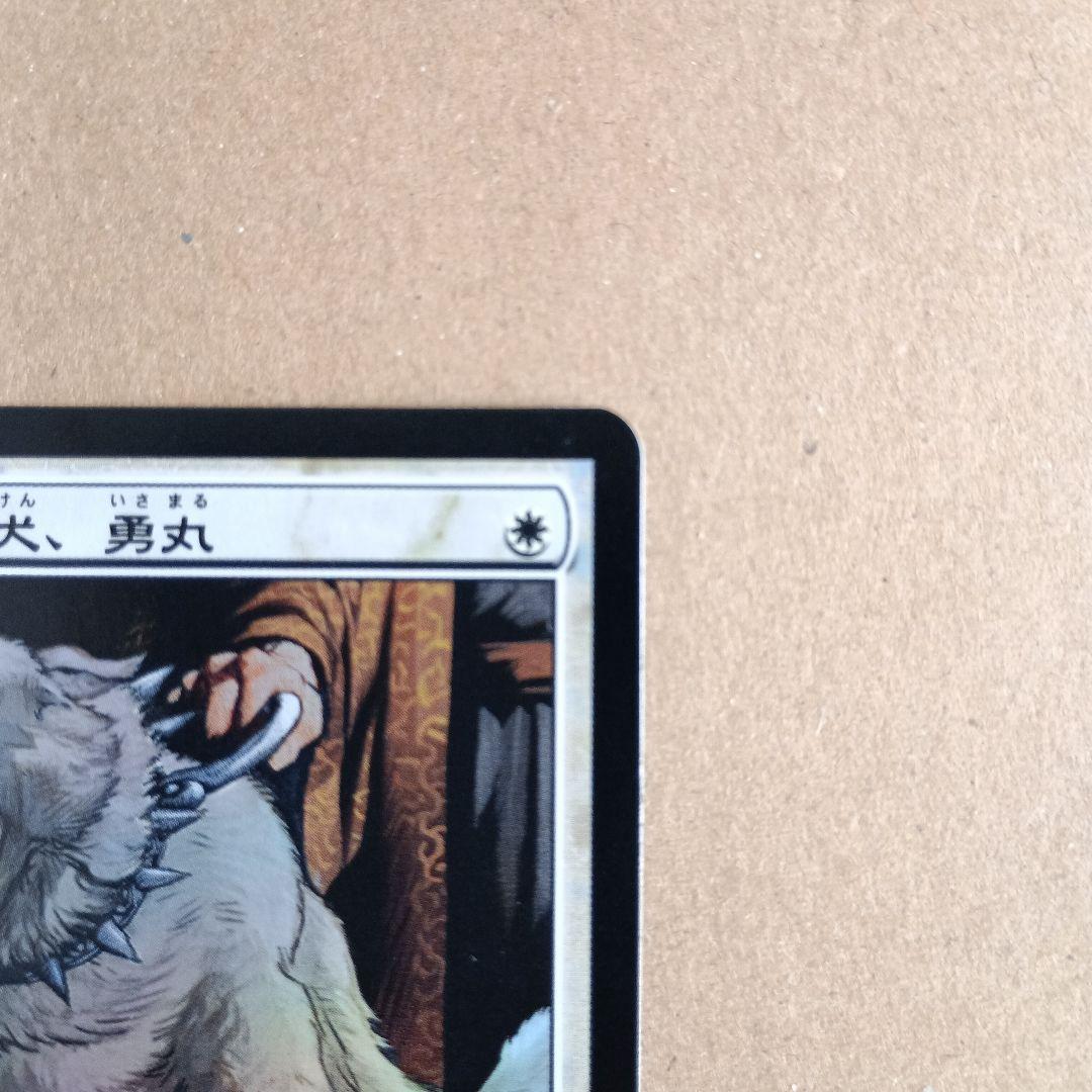 今田家の猟犬、勇丸 日本語版foil