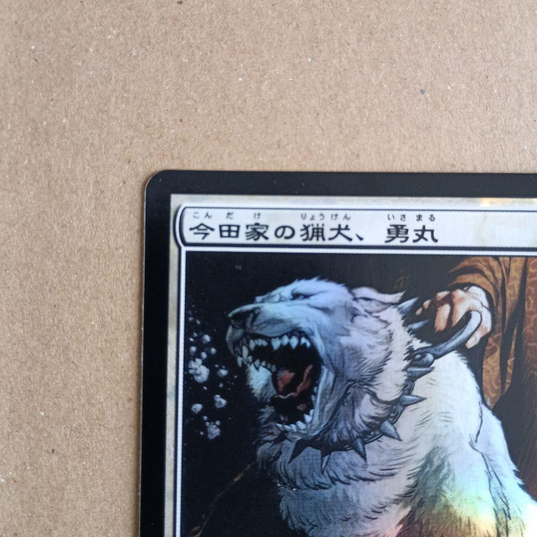 今田家の猟犬、勇丸 日本語版foil