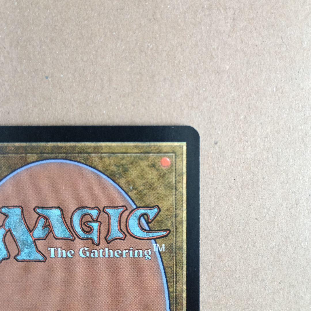 今田家の猟犬、勇丸 日本語版foil