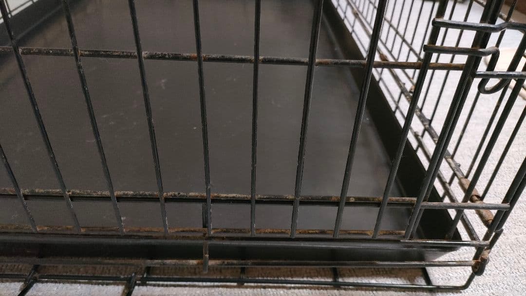 トムキャット　トムクレイト5000 大型犬などに　折りたたみ可