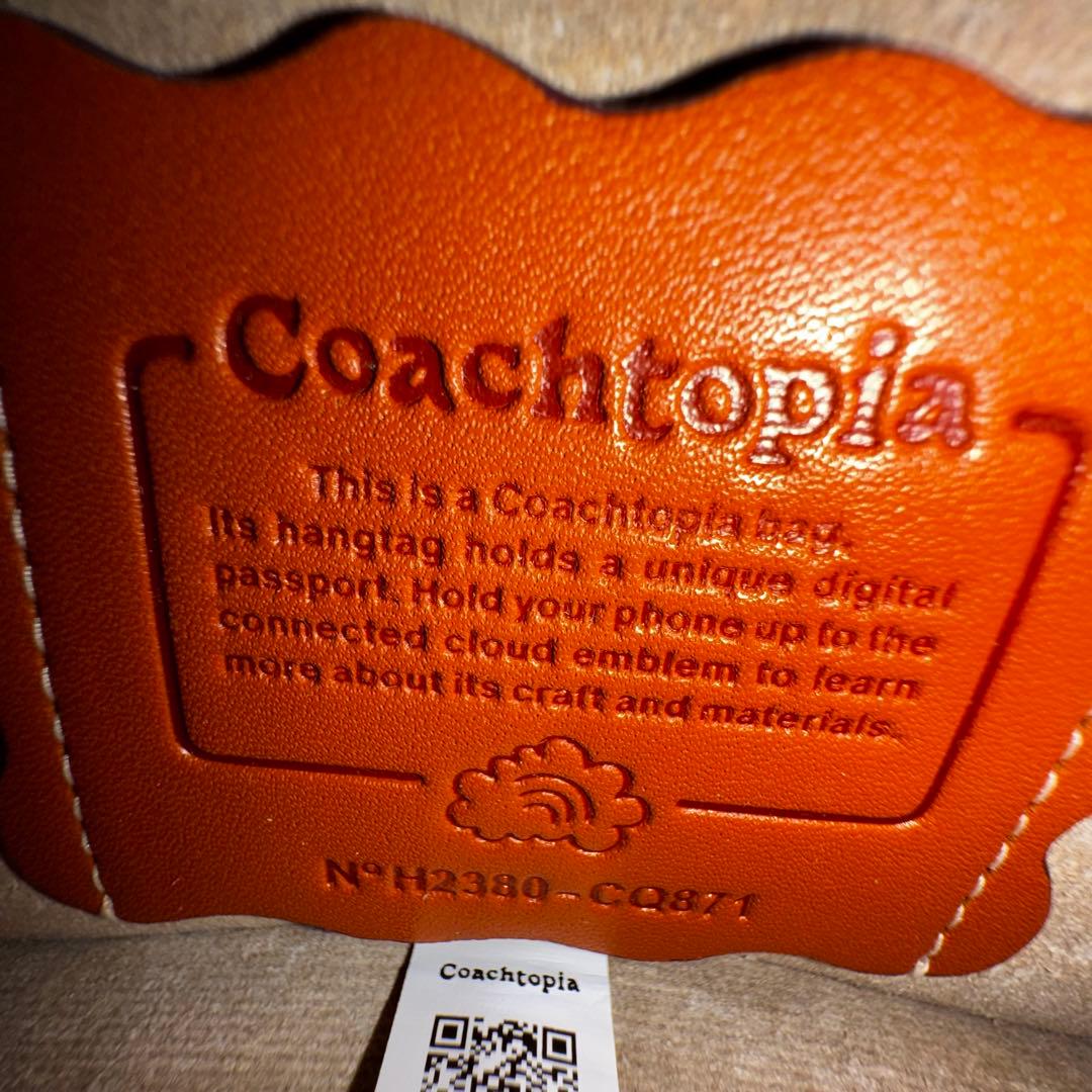 極美品　コーチトピア　ウェイビー ディンキー ショルダーバッグ　3way レザー