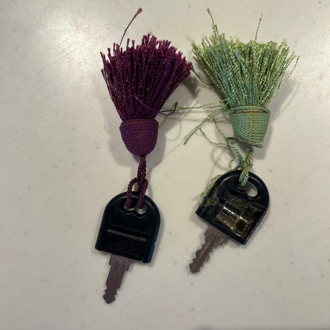 DULTON ステンレスコレクションケース1つ